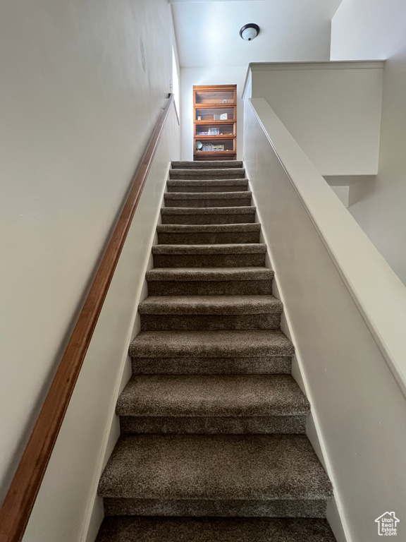 Stairs with carpet flooring