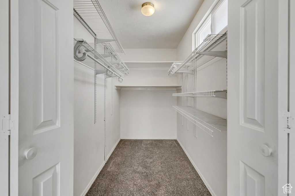 Spacious closet with carpet