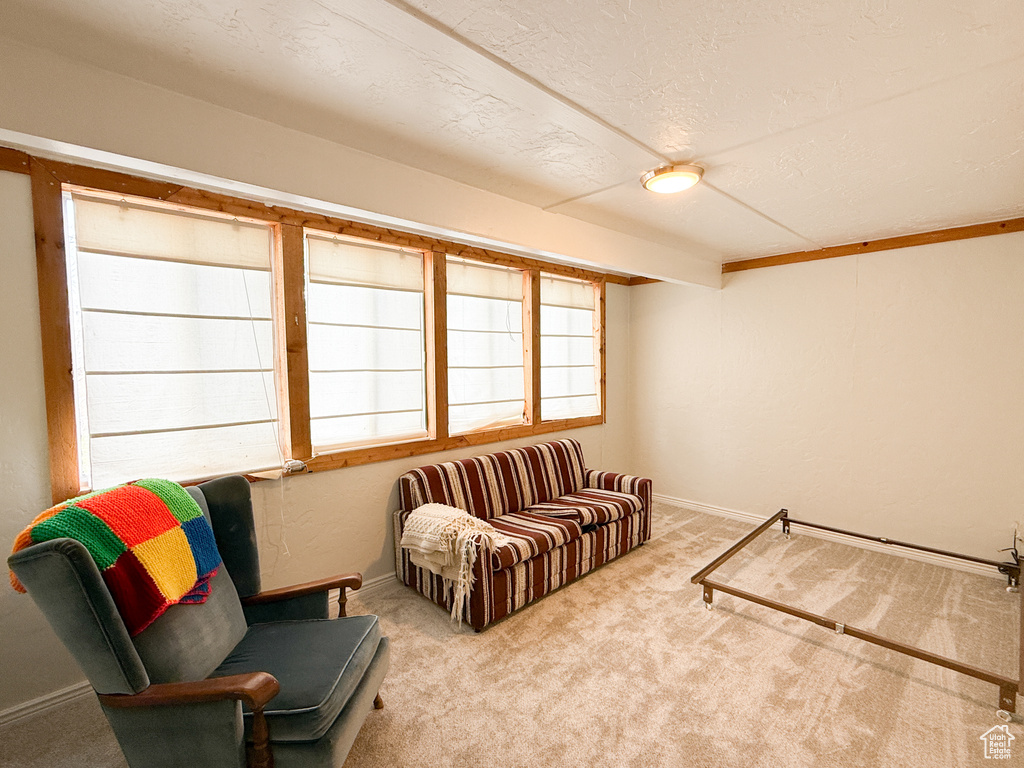 Carpeted living area featuring baseboards and a textured ceiling