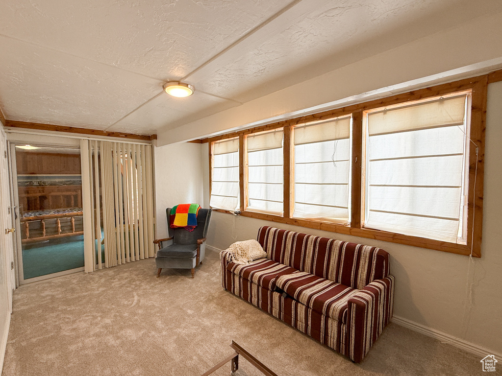 Sitting room featuring carpet and a textured ceiling