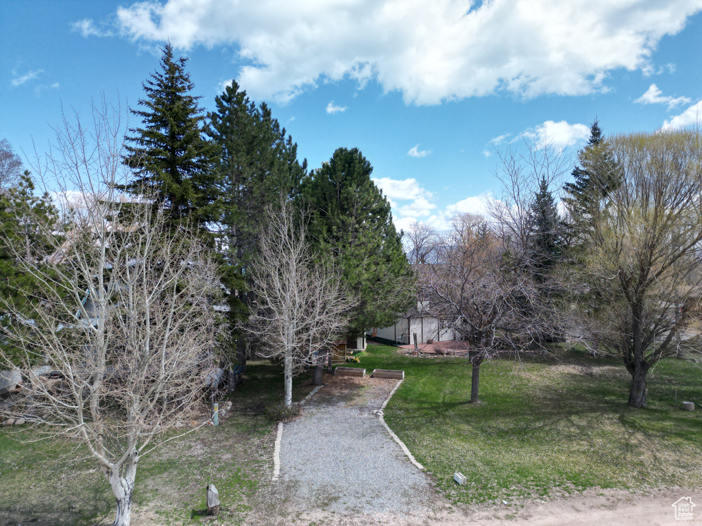 View of front of home with a front yard