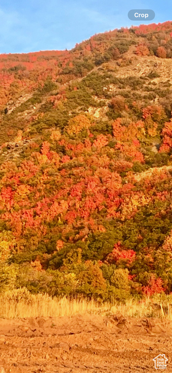 View of mountain feature