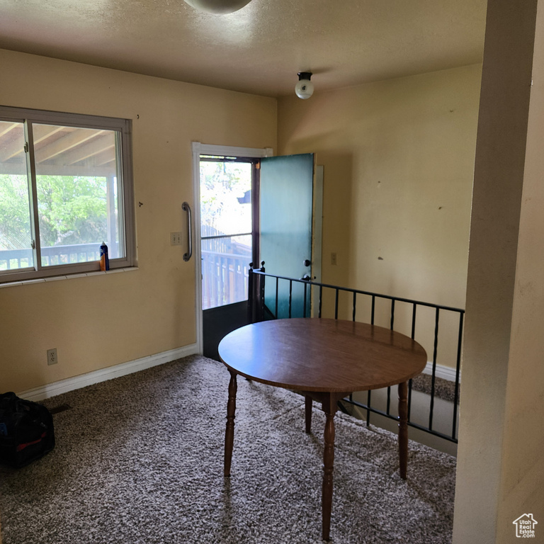 Dining room featuring carpet floors, baseboards, and a textured ceiling