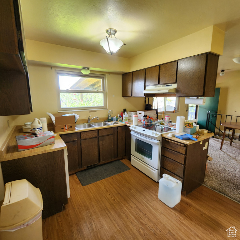 Kitchen featuring white electric range oven, a sink, light wood finished floors, light countertops, and under cabinet range hood