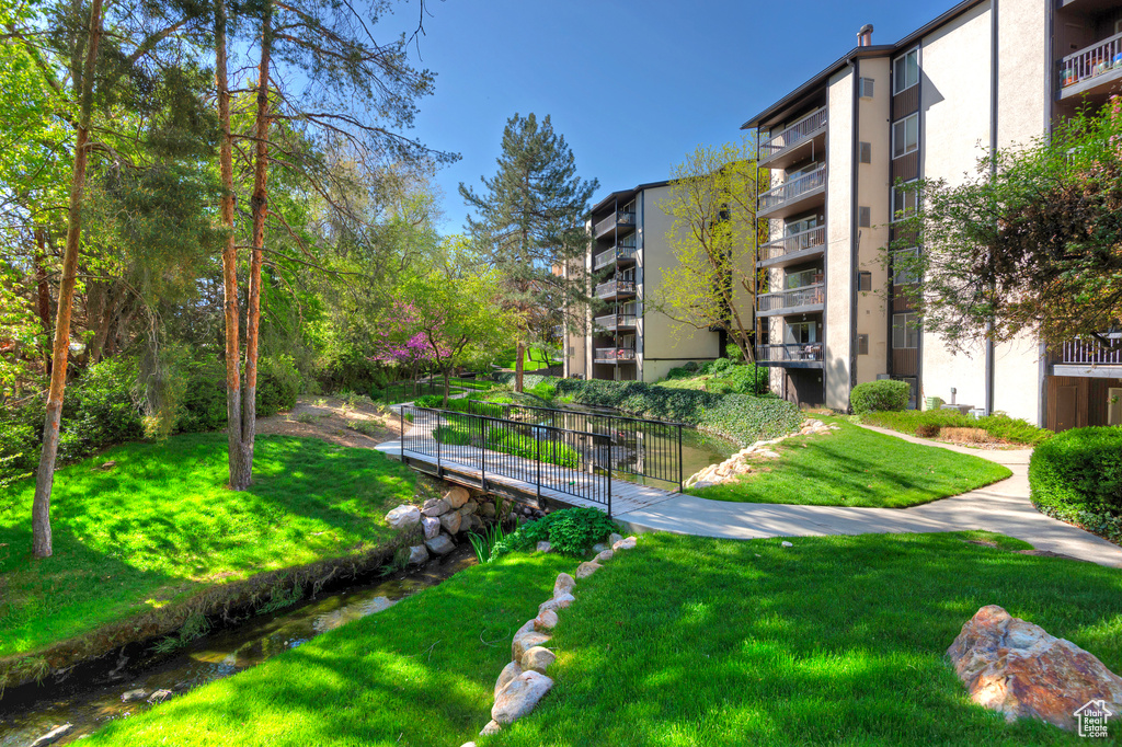 View of community featuring a yard