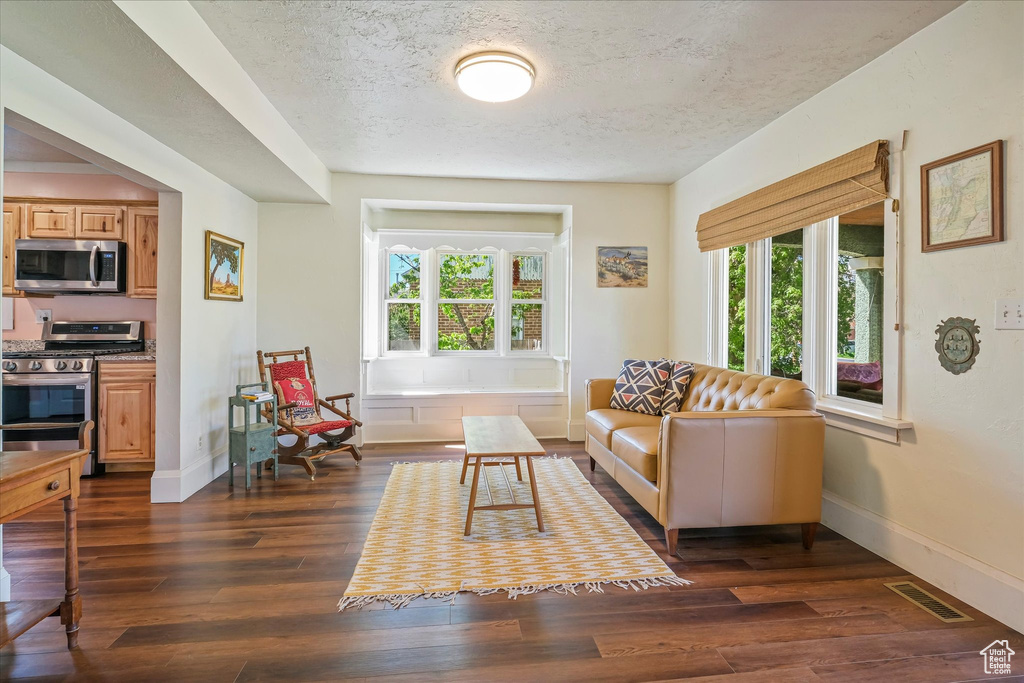 Living area with visible vents, a textured ceiling, dark wood-style flooring, and a wealth of natural light