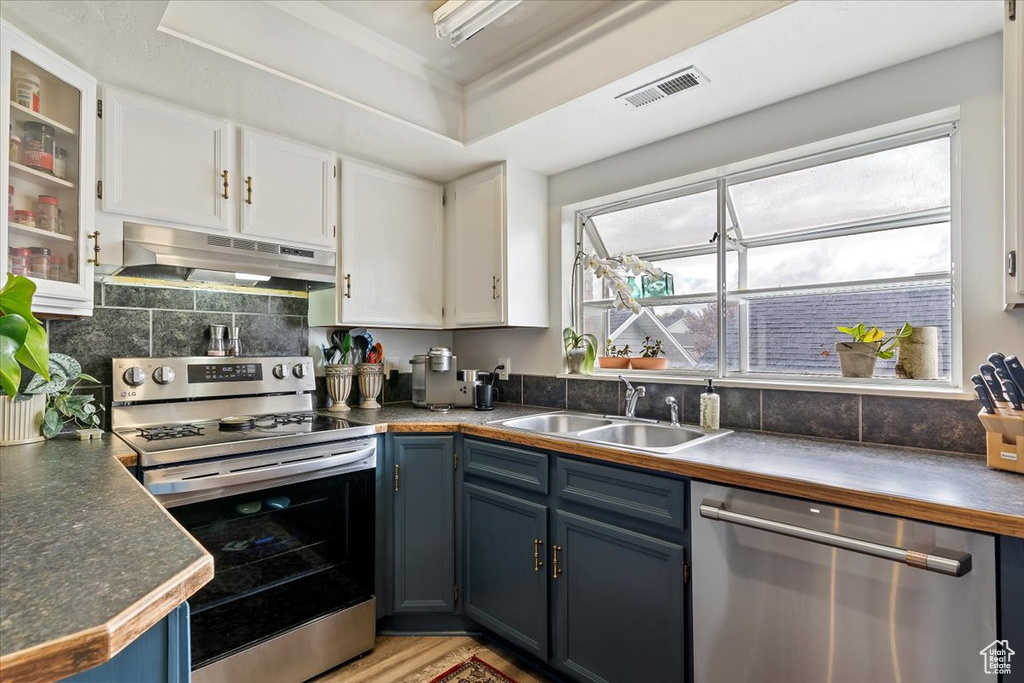 Kitchen with under cabinet range hood, stainless steel appliances, a sink, and blue cabinets