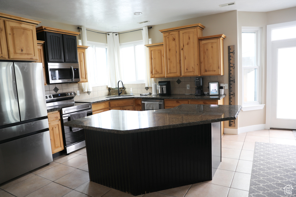 Kitchen featuring backsplash, stainless steel appliances, a wealth of natural light, and a sink