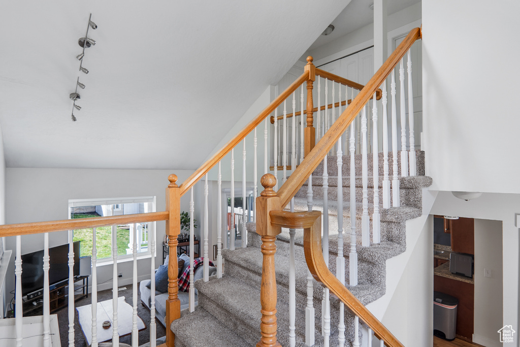 Staircase featuring track lighting and carpet flooring