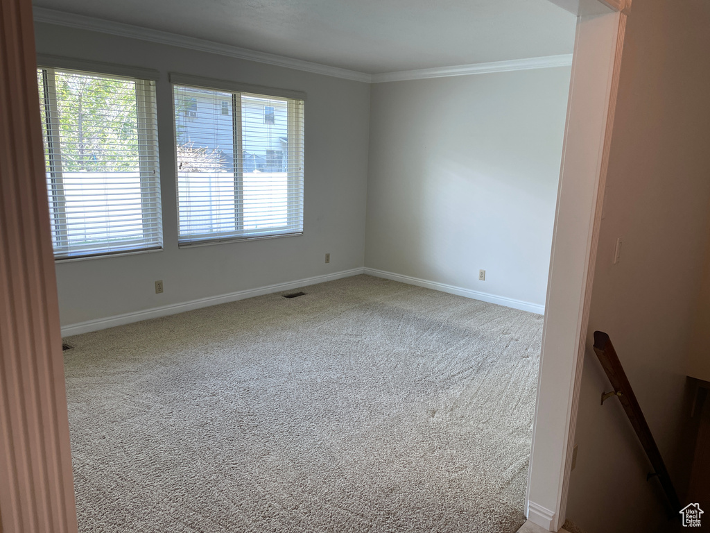 Unfurnished room with baseboards, visible vents, ornamental molding, and carpet