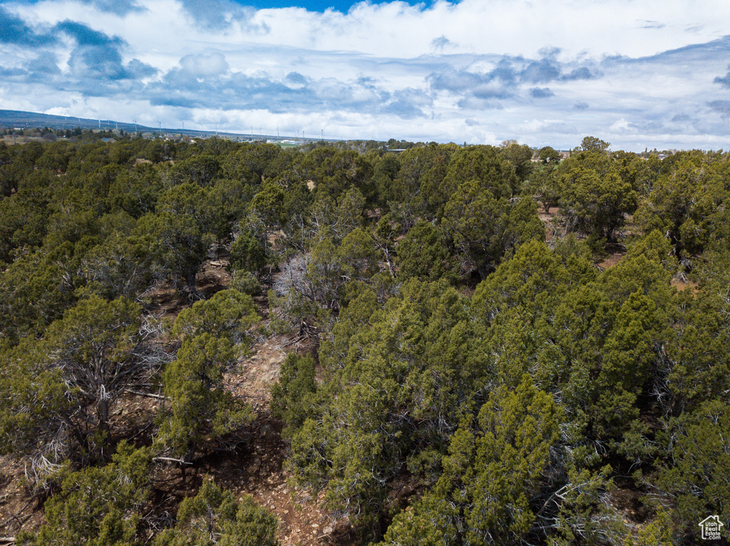 Bird's eye view with a forest view