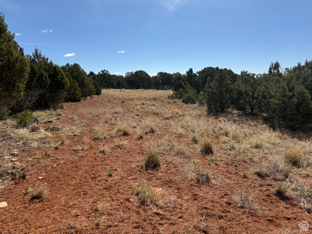 View of landscape featuring a forest view