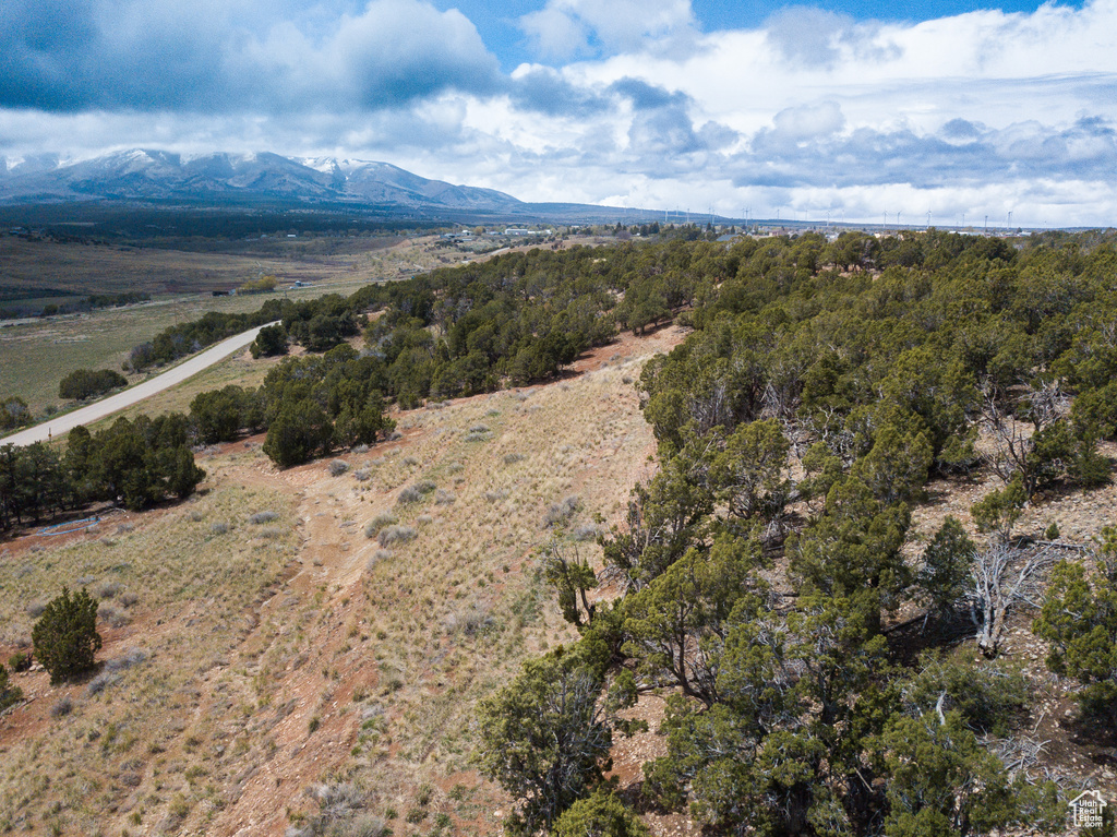 Bird's eye view featuring a mountain view
