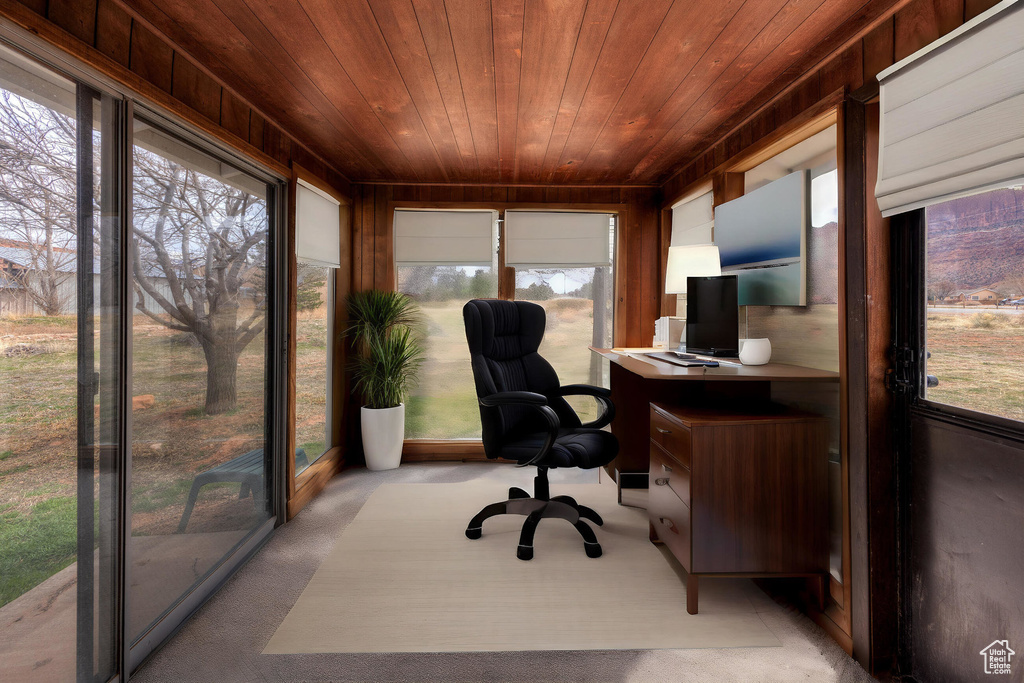 Interior space featuring wooden ceiling and carpet floors