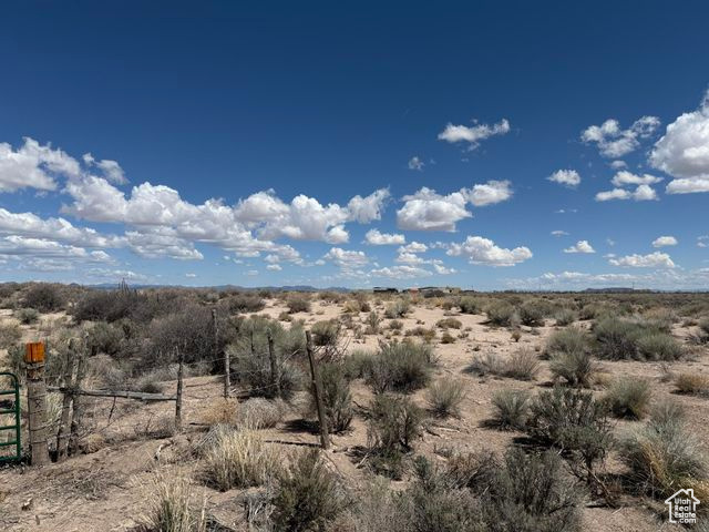 View of nature