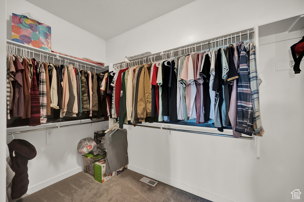 Spacious closet featuring visible vents and carpet