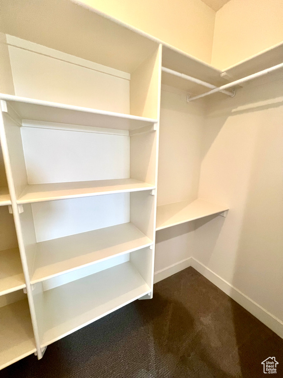 Spacious closet with carpet floors