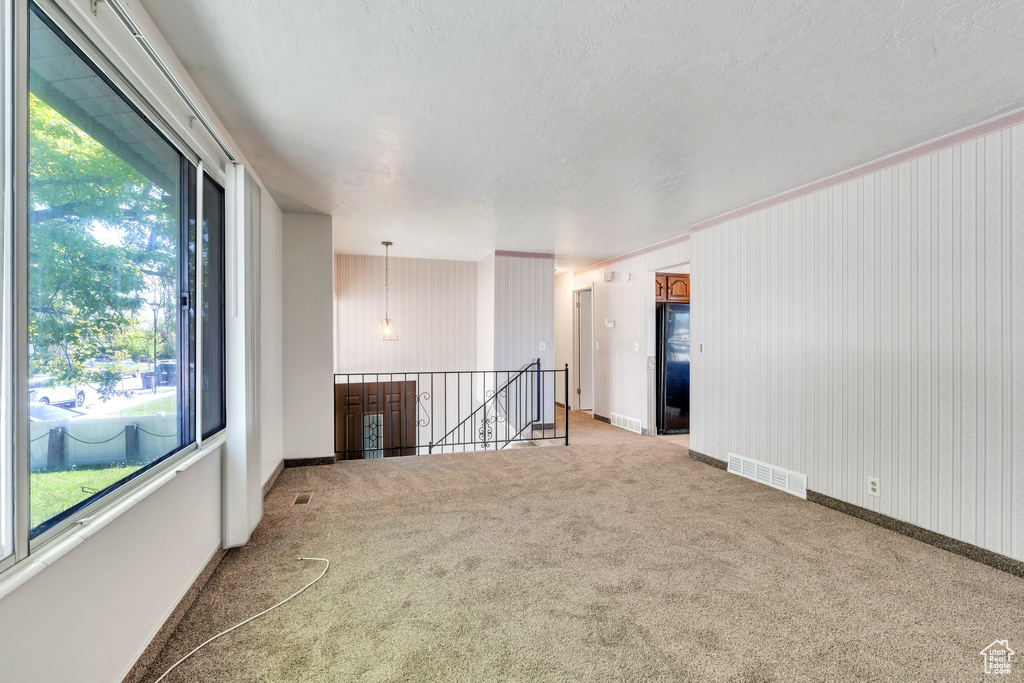 Empty room with carpet flooring, baseboards, and visible vents