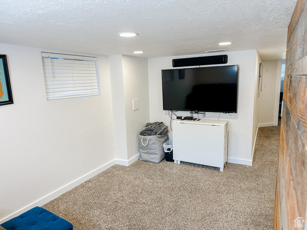 Finished basement with baseboards, carpet flooring, and a textured ceiling