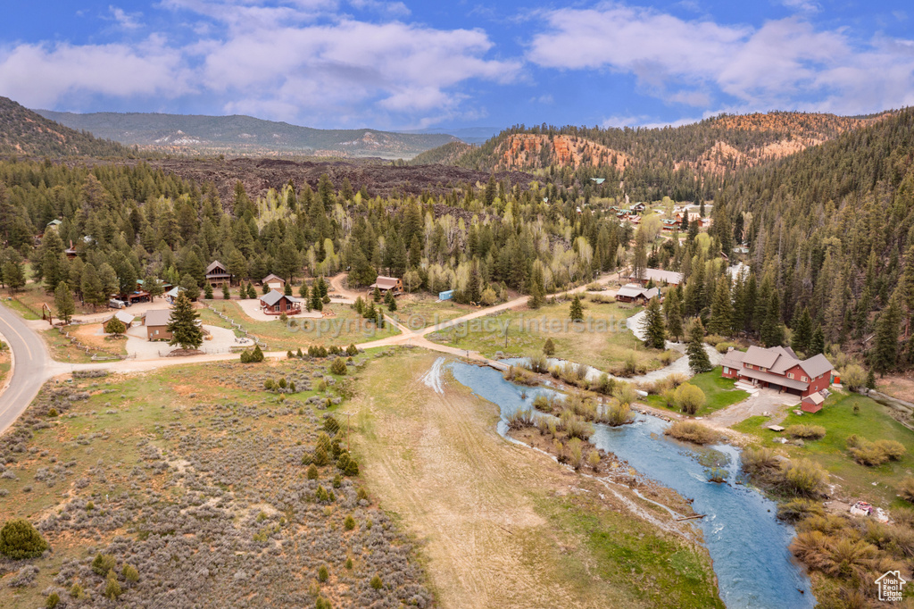 Bird's eye view of a mountain backdrop and a heavily wooded area
