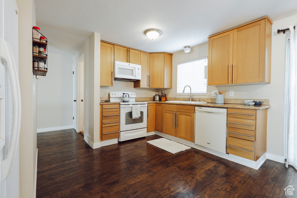 Kitchen with a sink, dark wood finished floors, light brown cabinetry, and white appliances
