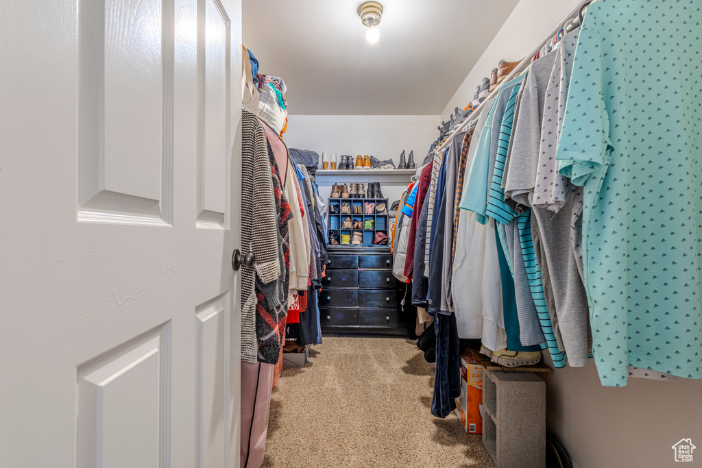 Spacious closet featuring carpet floors