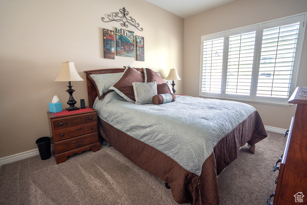 Carpeted bedroom featuring baseboards and multiple windows