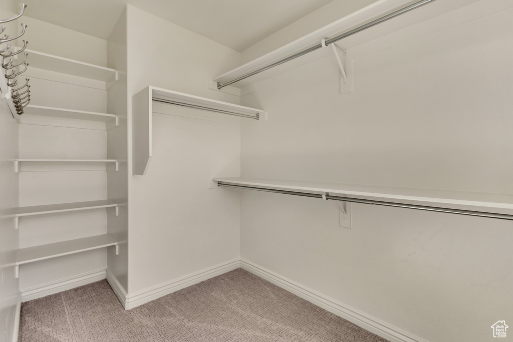 Walk in closet featuring carpet flooring
