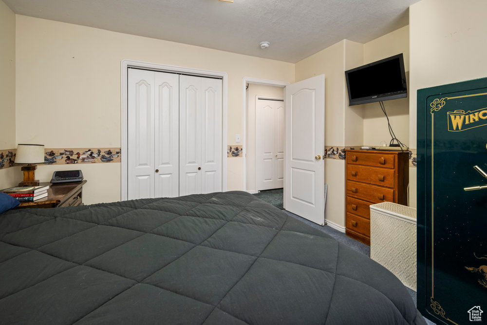 Bedroom with a closet and carpet flooring