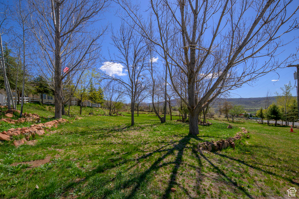 View of yard with a rural view