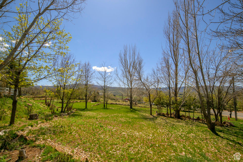 View of yard featuring a mountain view