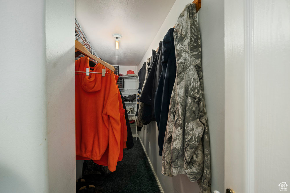 Spacious closet featuring carpet flooring