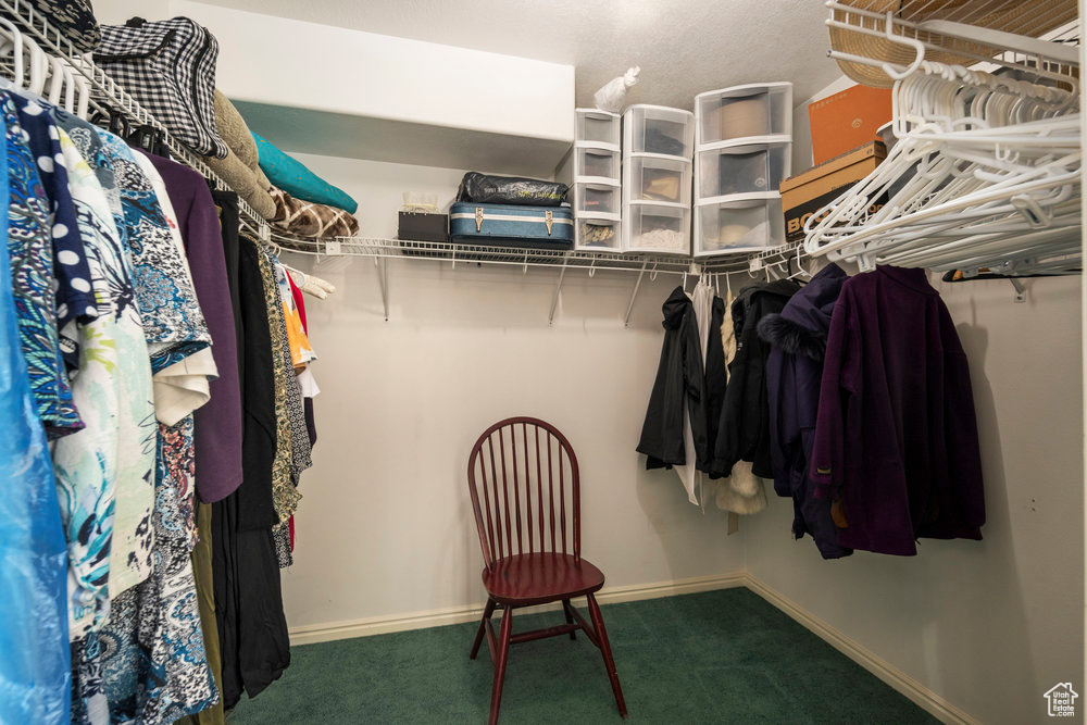 Walk in closet with carpet