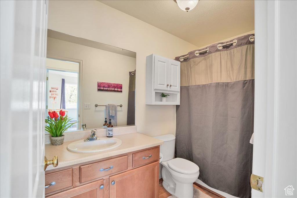 Bathroom with vanity, toilet, and a shower with curtain