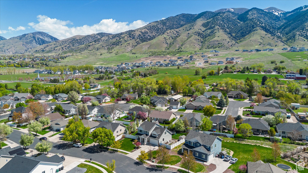 Drone / aerial view featuring a residential view and a mountain view