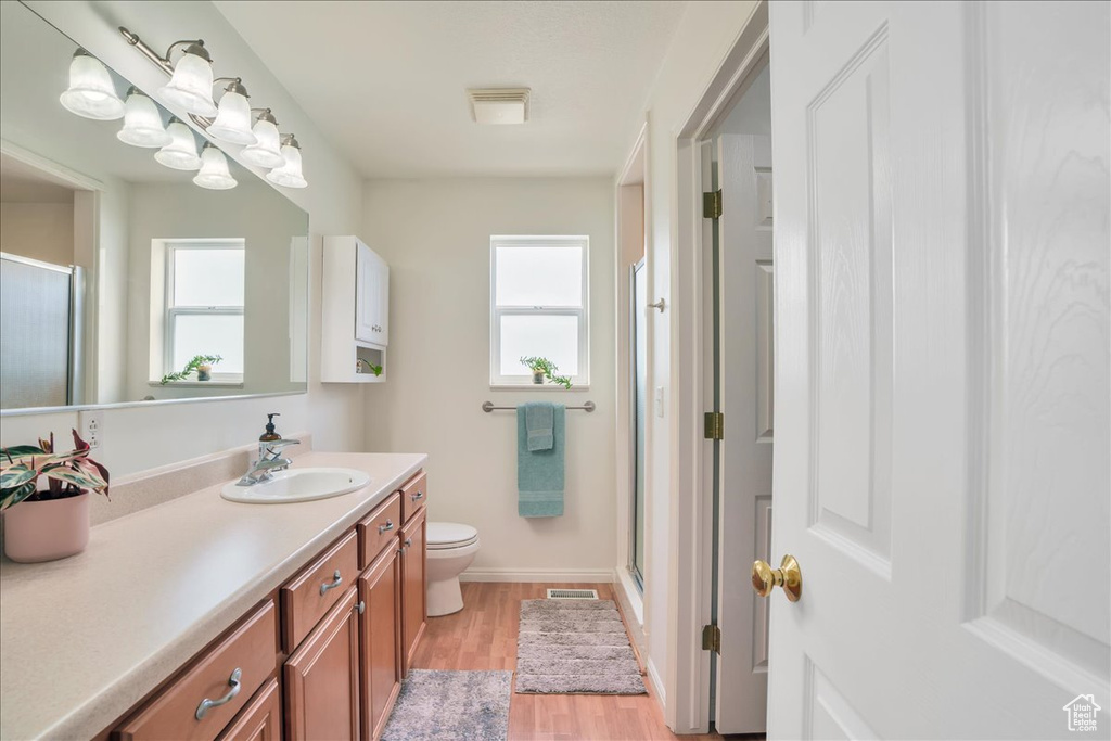 Bathroom with vanity, plenty of natural light, a stall shower, and wood finished floors