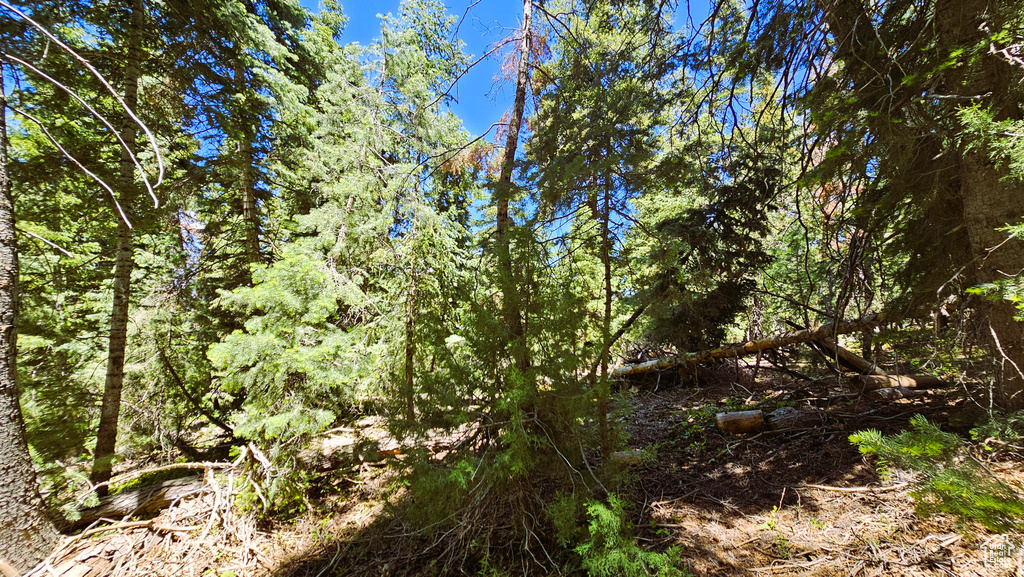 View of nature featuring a forest view