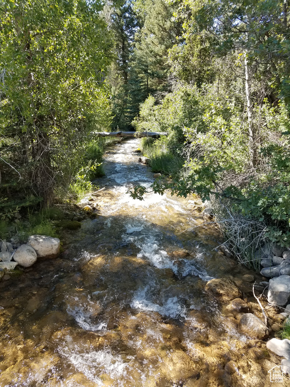 View of local wilderness featuring a view of trees