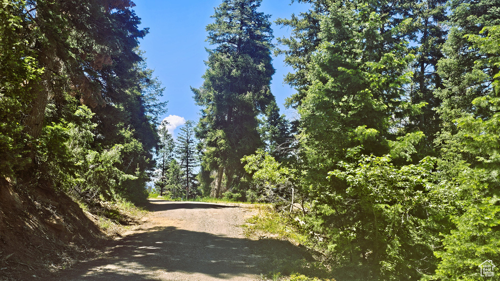View of street featuring a wooded view