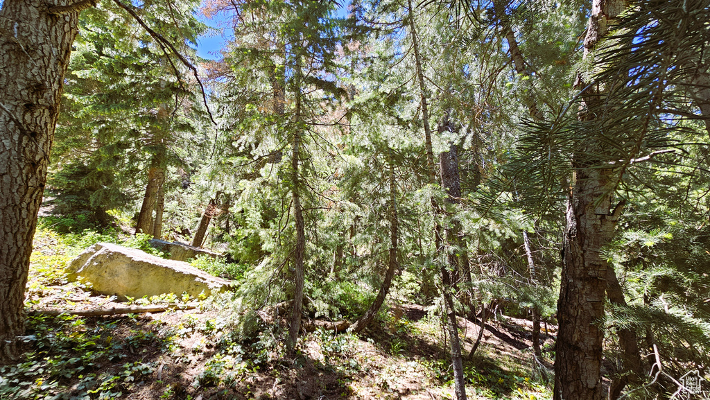 View of landscape with a forest view
