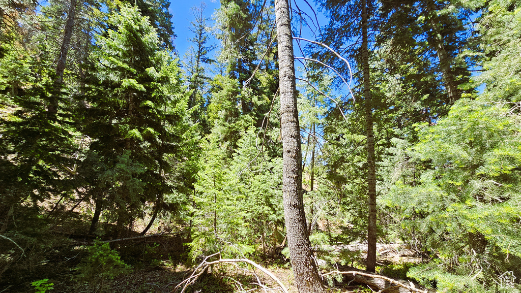View of nature featuring a view of trees