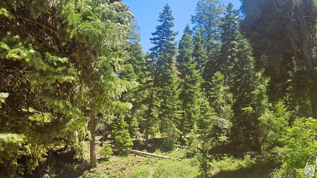 View of landscape featuring a wooded view