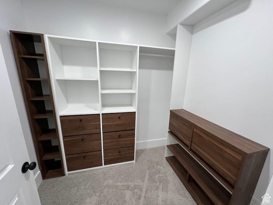 Spacious closet featuring carpet flooring