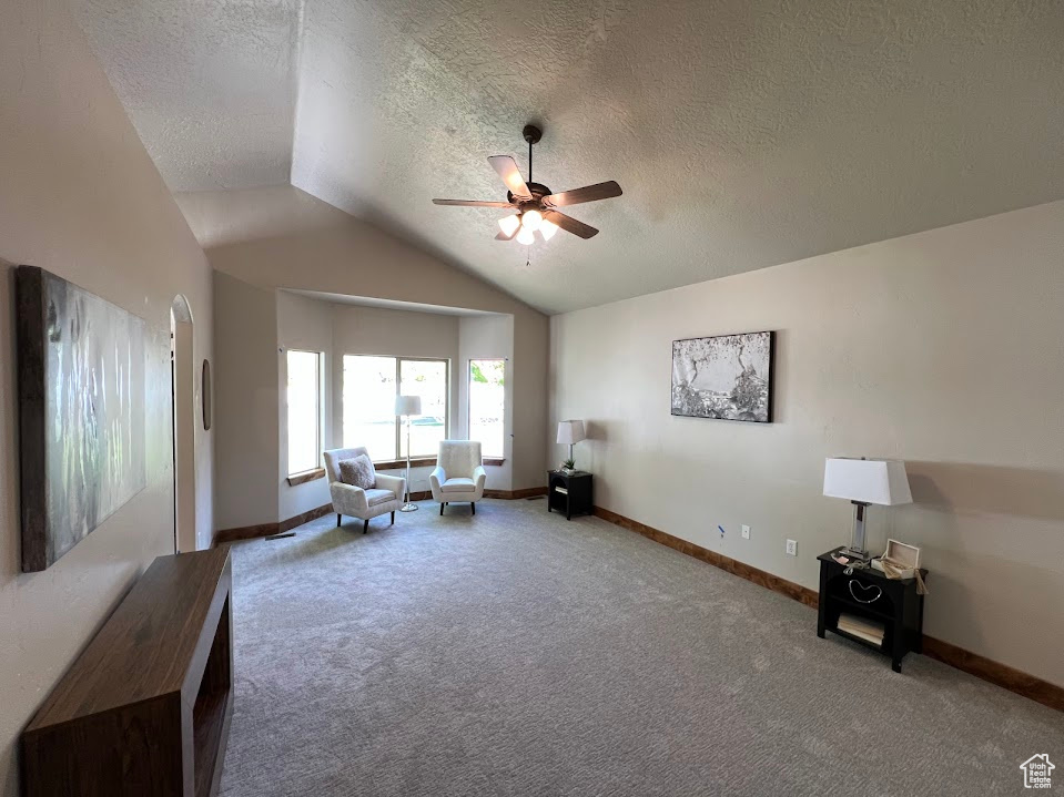 Living area with vaulted ceiling, carpet, a ceiling fan, and a textured ceiling