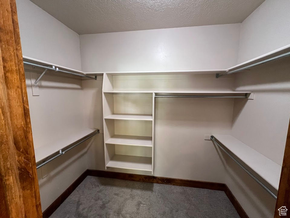 Walk in closet with dark carpet