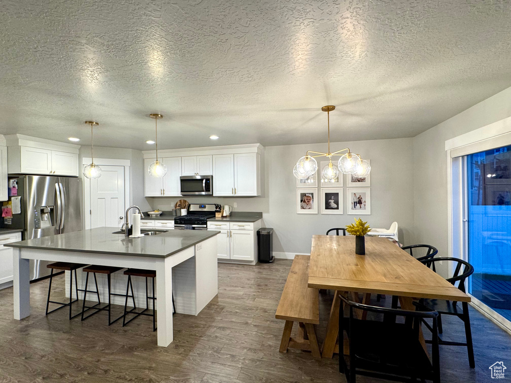 Kitchen featuring a sink, dark countertops, stainless steel appliances, and dark wood-style flooring