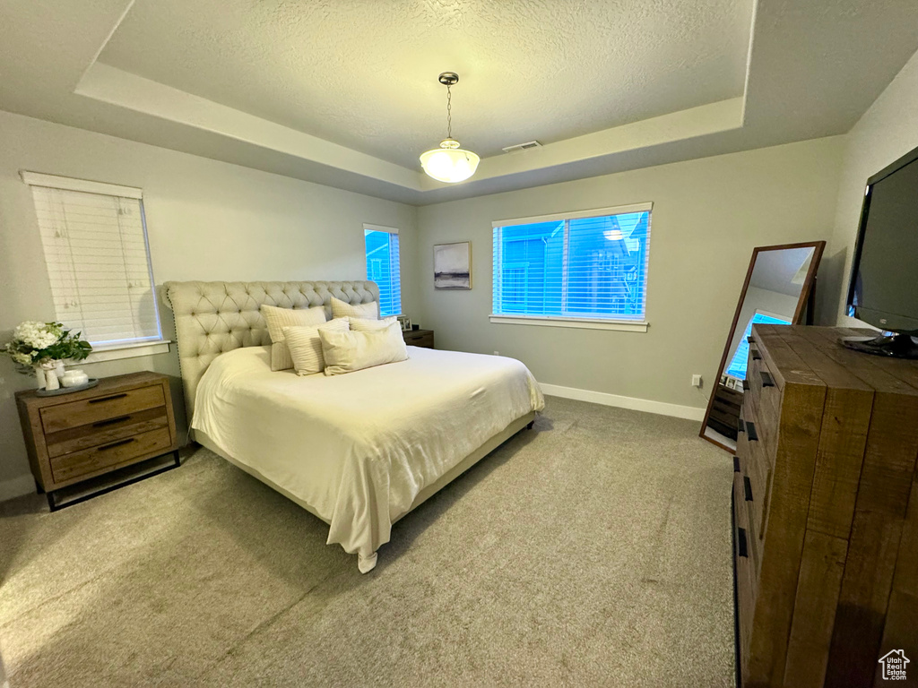 Carpeted bedroom featuring baseboards, a textured ceiling, a raised ceiling, and visible vents