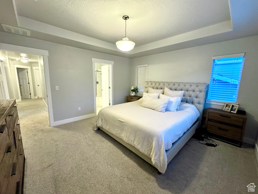 Carpeted bedroom featuring visible vents, a textured ceiling, a raised ceiling, and baseboards