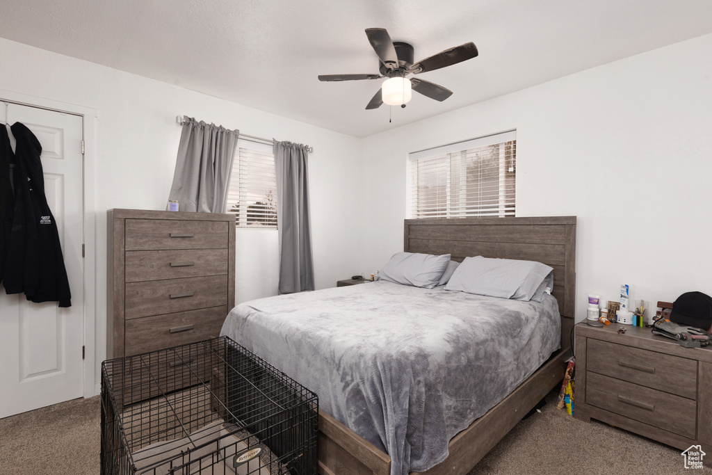 Bedroom featuring a ceiling fan and carpet