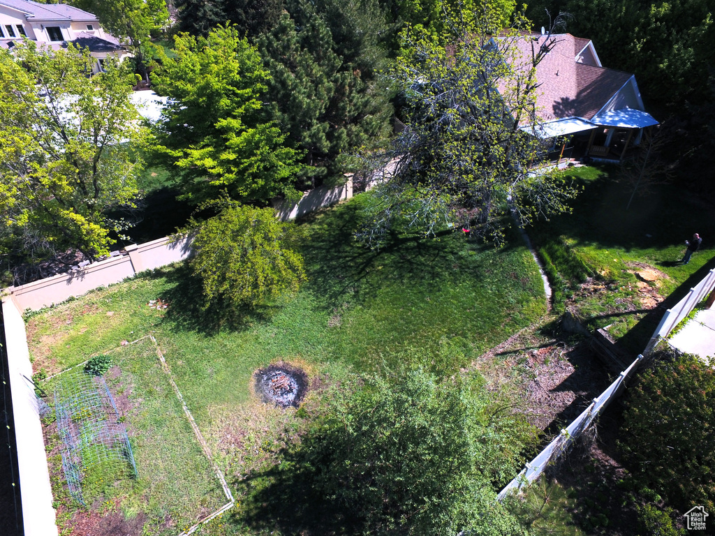 Bird\'s eye view